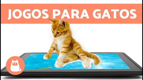 jogos para gatos - jogo de capturar o gato